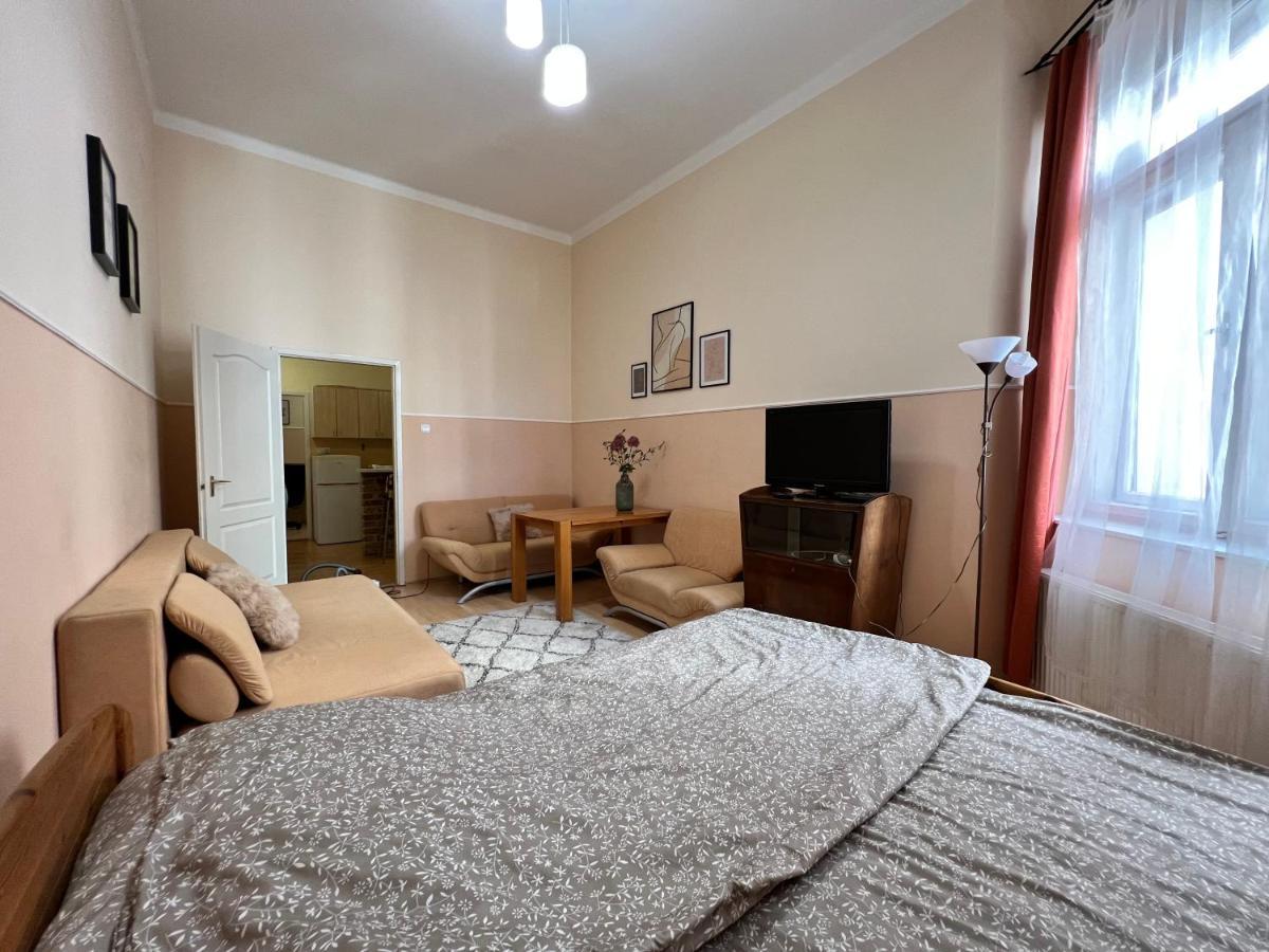 Old Town Apartment Szeged Bagian luar foto