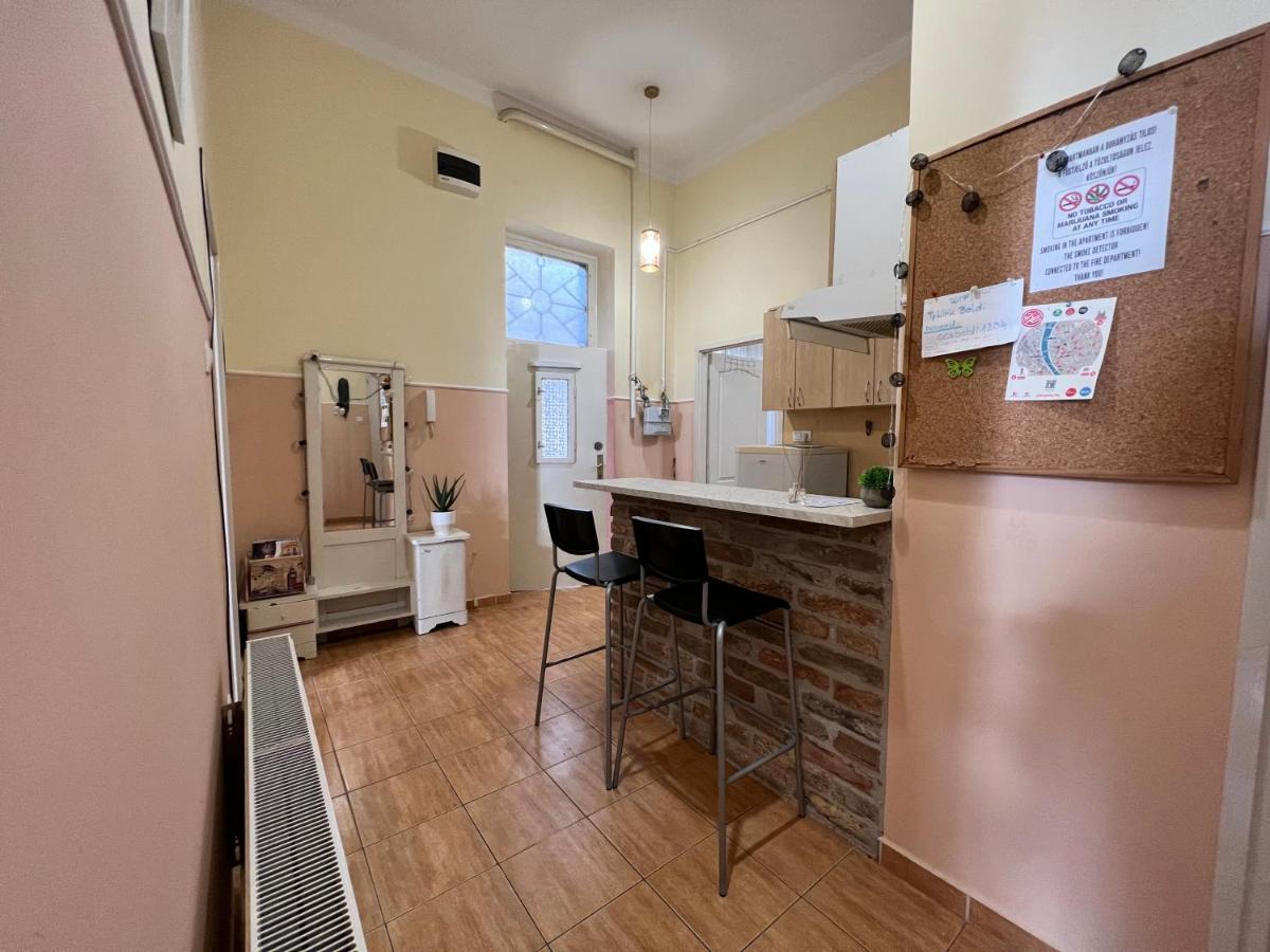 Old Town Apartment Szeged Bagian luar foto